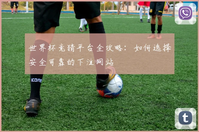 世界杯竞猜平台全攻略：如何选择安全可靠的下注网站