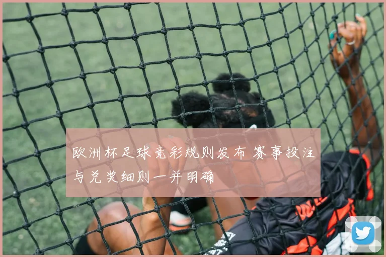 欧洲杯足球竞彩规则发布 赛事投注与兑奖细则一并明确