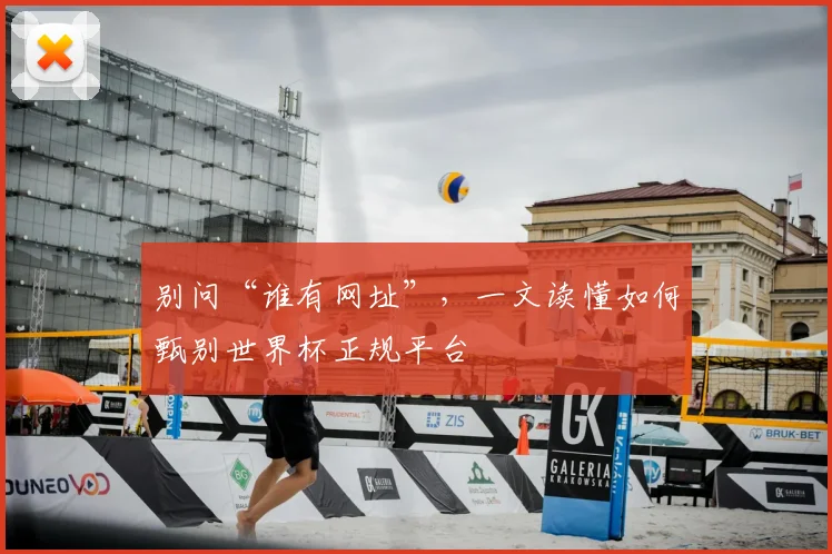 别问“谁有网址”,一文读懂如何甄别世界杯正规平台