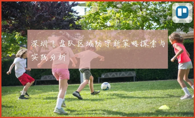 深圳飞盘队区域防守新策略探索与实践分析