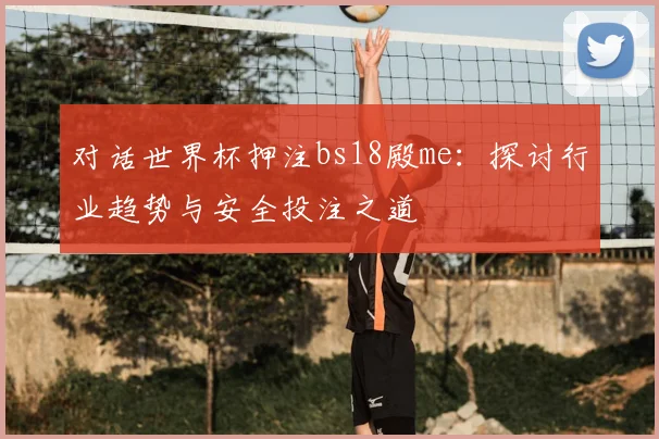 对话世界杯押注bs18殿me:探讨行业趋势与安全投注之道