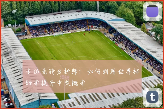 专访竞猜分析师：如何利用世界杯赔率提升中奖概率