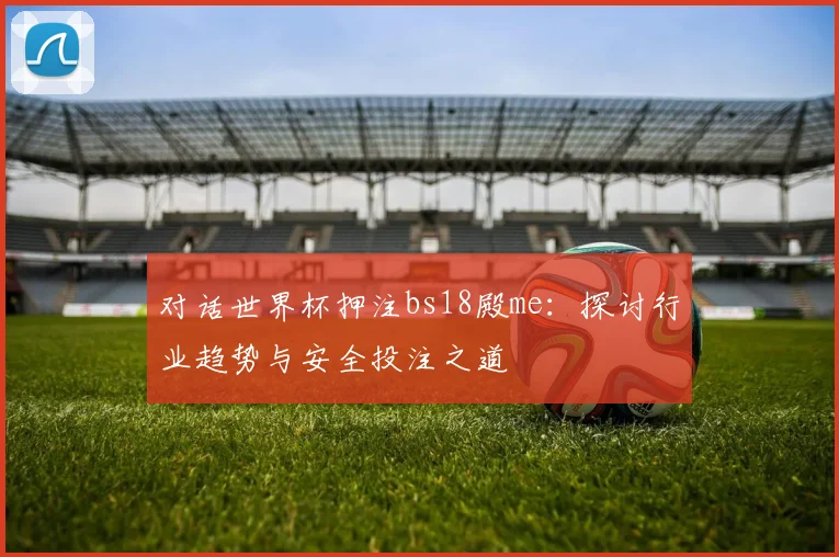 对话世界杯押注bs18殿me：探讨行业趋势与安全投注之道